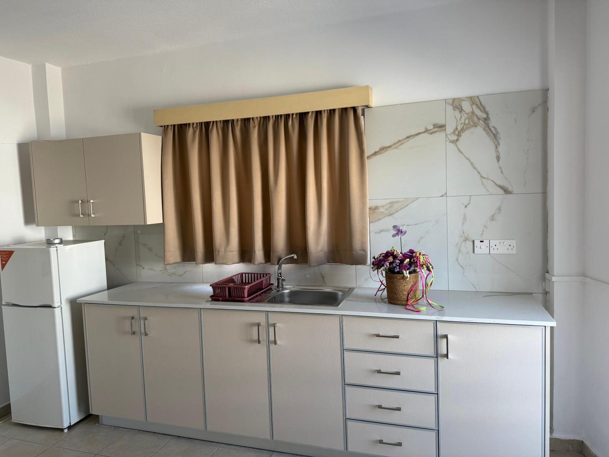 Terpsithea Apartments Αγία Νάπα Εξωτερικό φωτογραφία
