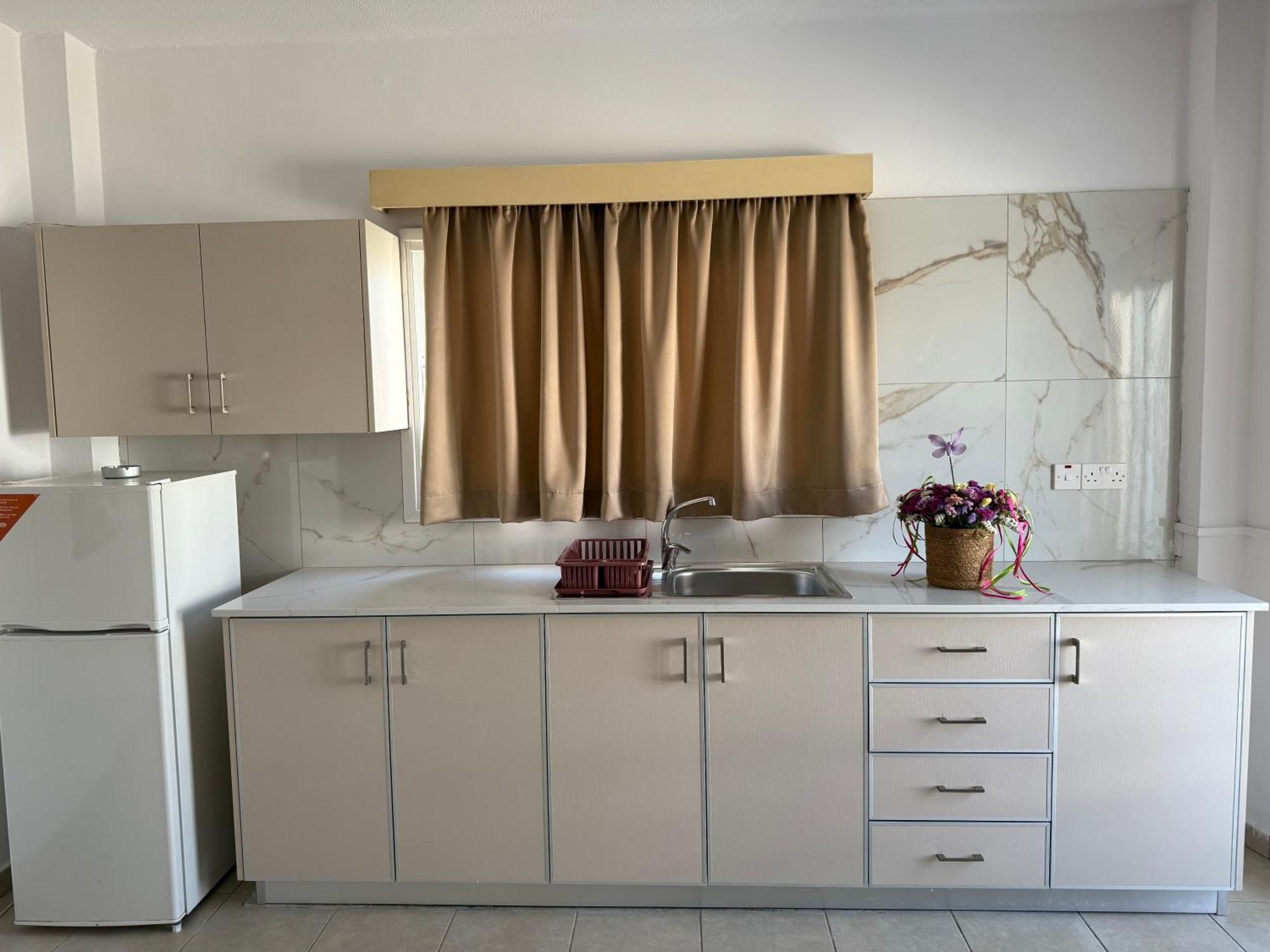 Terpsithea Apartments Αγία Νάπα Εξωτερικό φωτογραφία