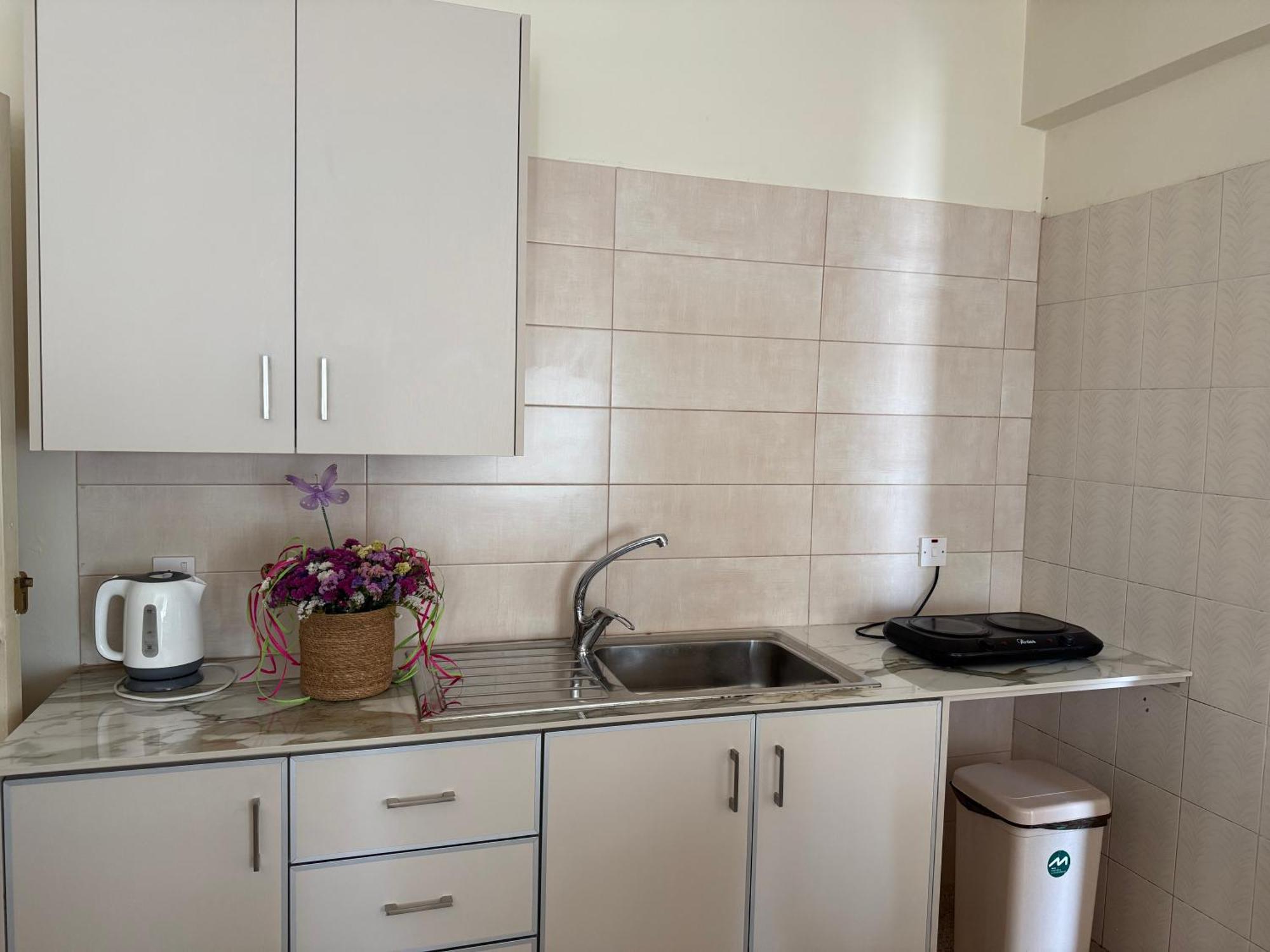 Terpsithea Apartments Αγία Νάπα Εξωτερικό φωτογραφία