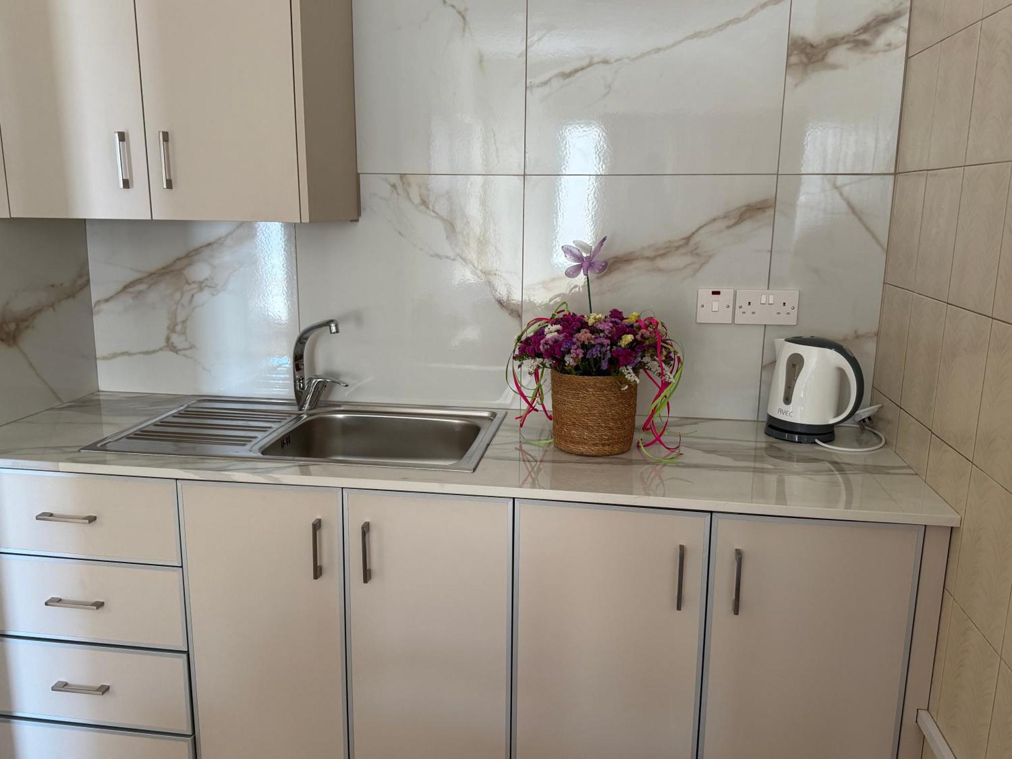 Terpsithea Apartments Αγία Νάπα Εξωτερικό φωτογραφία