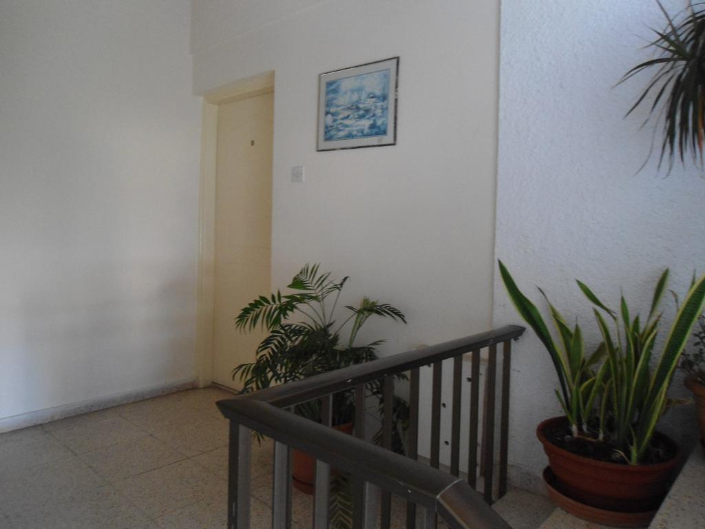 Terpsithea Apartments Αγία Νάπα Δωμάτιο φωτογραφία